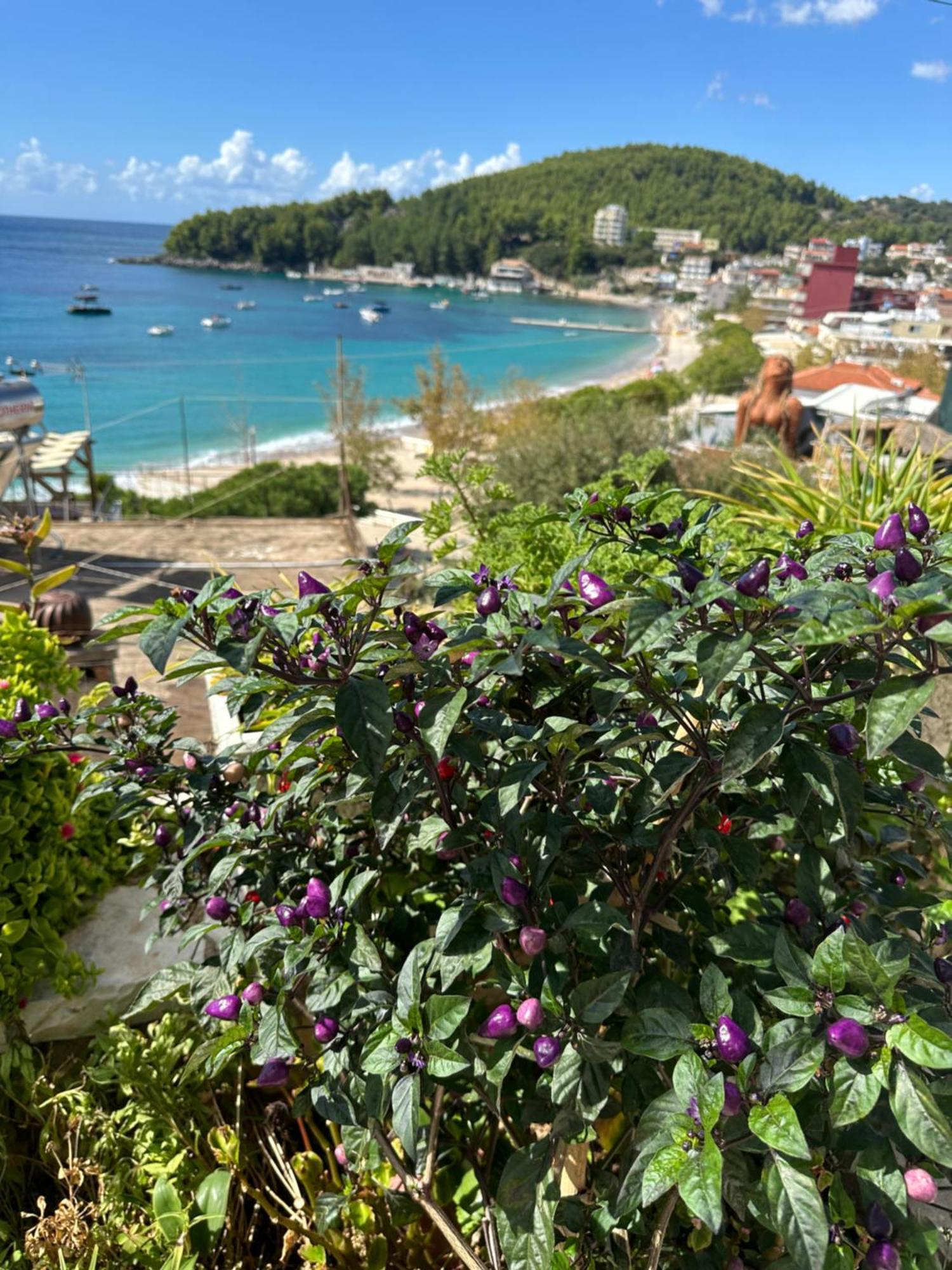 Fane'S Apartments Himare Exterior foto