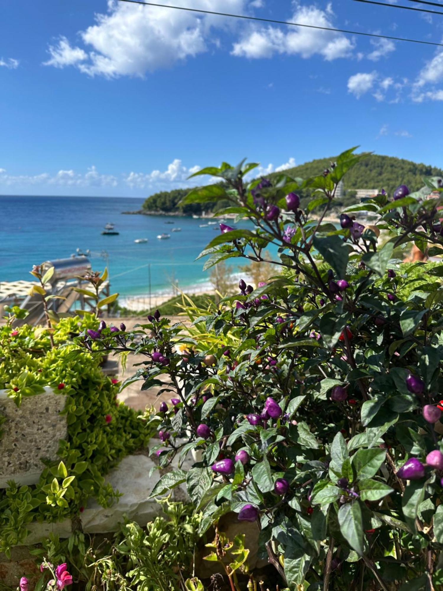 Fane'S Apartments Himare Exterior foto
